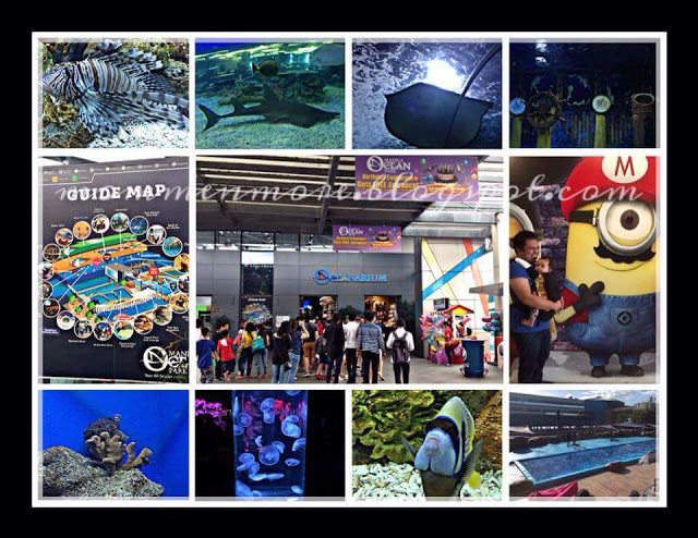 Manila Ocean Park 5 Tips To Remember
