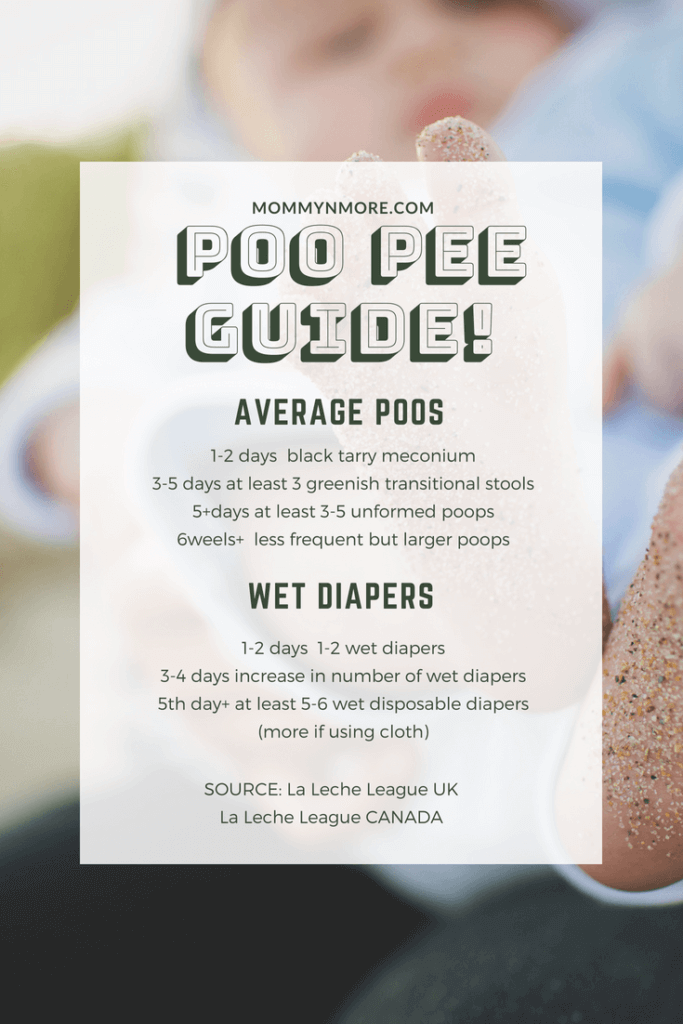 Average Poo or Pee Per Day Newborn
